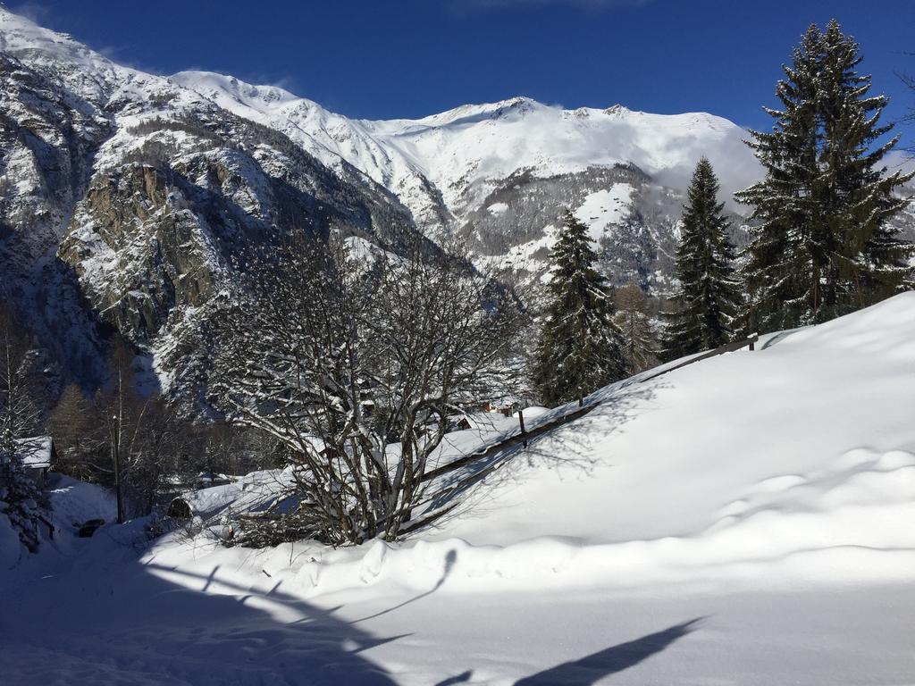 Chalet Du Chef Grächen Eksteriør bilde